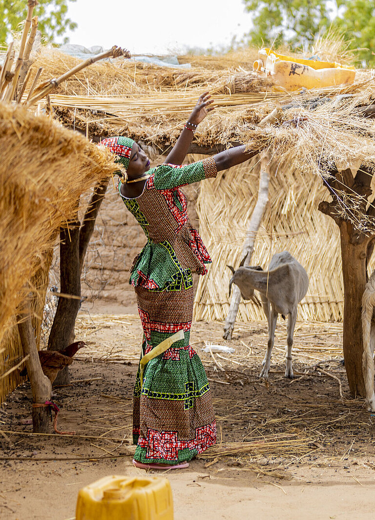 Eine junge Frau aus Niger legt Stroh als Dach auf einen Unterstand für Ziegen