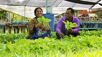Ein Mann und eine Frau hocken inmitten von saftigen Salatpflanzen in einem Gewächshaus und halten lachend Salatpflänzchen in den Händen
