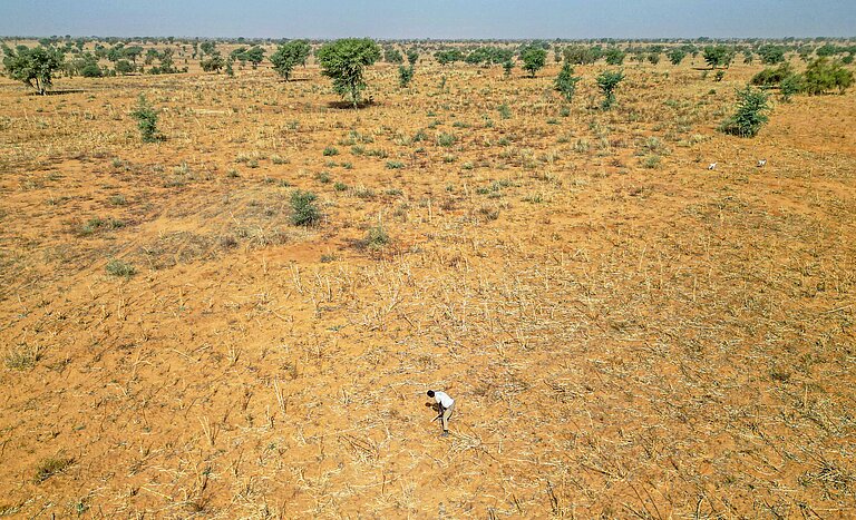 Ein verdorrtes Feld in Niger