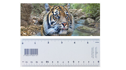 3-D-Lineal und Lesezeichen