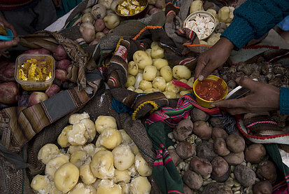 Kartoffelvielfalt in Bolivien.