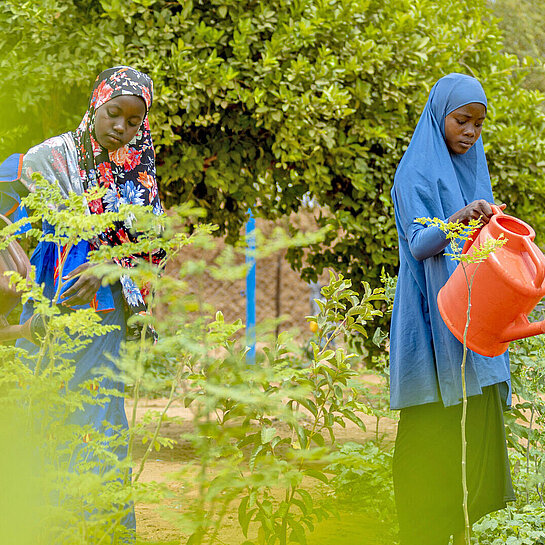 Mädchen in Niger füllen Wasser in den Garten