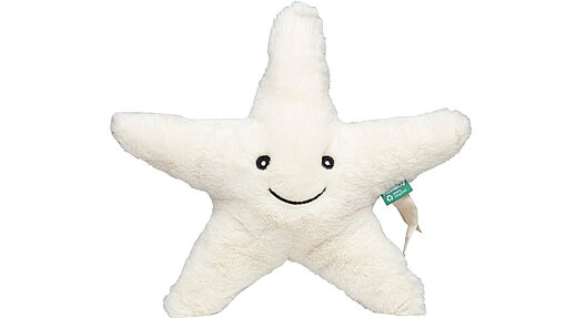 Plüsch-Stern Cremefarbender Plüsch-Stern mit lächelndem Gesicht.