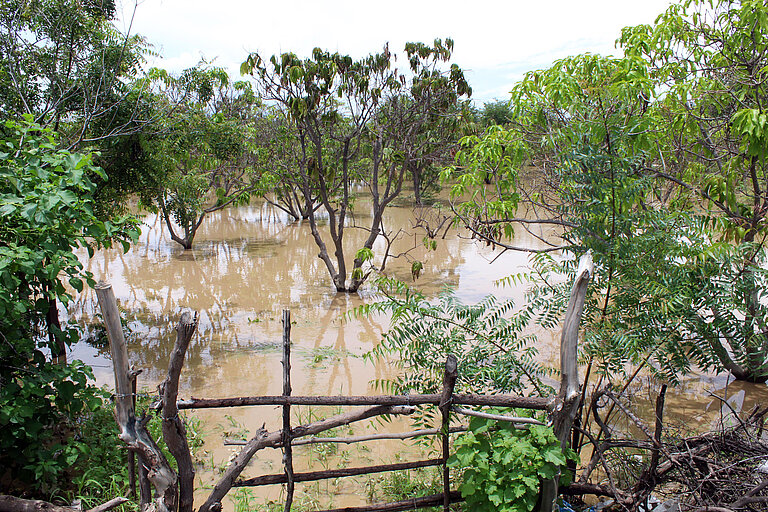 Ein eingezäunter Garten, in dem viele Bäume stehen, steht komplett unter Wasser.