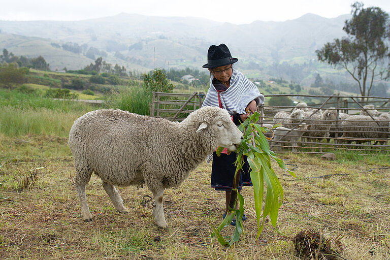 Ein Mädchen mit Hut und Poncho steht auf einer Wiese und füttert ein Schaf