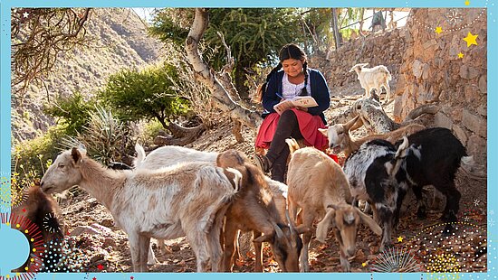 Ziegen für Jugendliche in Bolivien