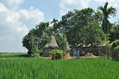 dorflandschaft-mit-reisefeldern-im-norden-von-bangladesch