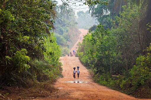 Eine rot-braune Sandstraße verläuft schnurgerade durch den Urwald