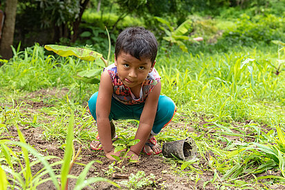 Kleines Kind pflanzt einen jungen Baum auf einem grünen Feld in Ecuador