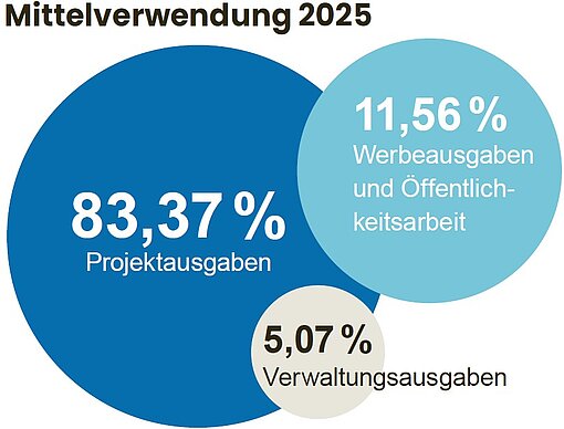 Grafik bestehend aus unterschiedlich großen Kugelelementen und Prozentzahlen