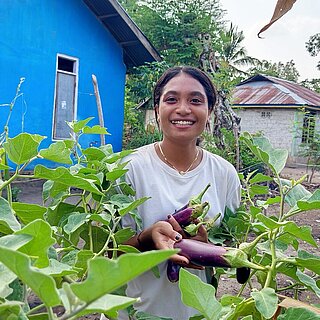 Anita erntet Auberginen in ihrem Gemüsegarten 