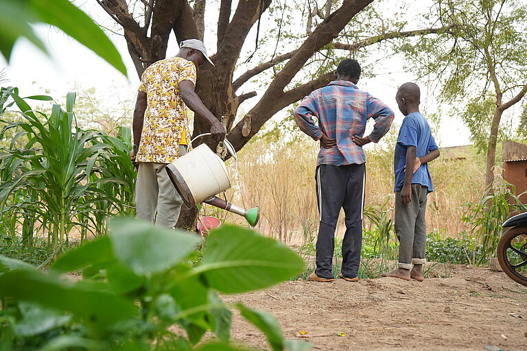 Zwei Jungen und eine erwachsene Person gießen die Pflanzen im Garten
