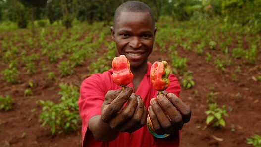 Ausbildung in nachhaltiger Landwirtschaft in Sambia