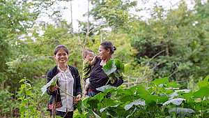 Frauen und Kind bei der Gemüseernte in Vietnam Zwei Frauen mit einem Kleinkind ernten frisches Gemüse in einem Garten in Vietnam.