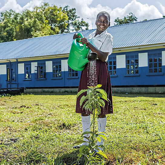 Ein 13-jähriges Schulmädchen gießt mit einer Gießkanne einen jungen Baum auf dem Schulhof in Uganda, im Hintergrund steht ein blaues Schulgebäude. 