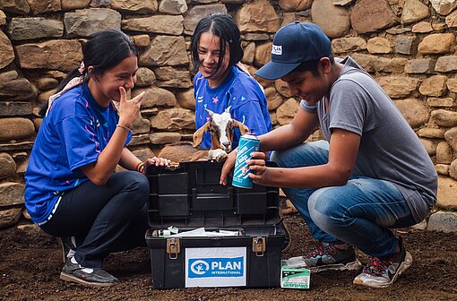 Drei Jugendliche untersuchen eine junge Ziege 