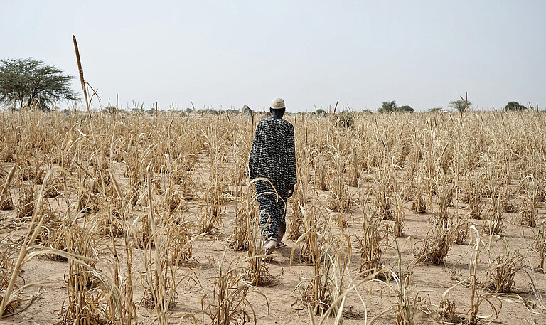 Wie hier in Niger sind durch den Klimawandel Felder und Ernten verdorrt