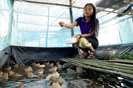 Eine junge Frau hockt vor einem Becken mit Fröschen. Sie bröselt etwas Futter aus ihrer Hand in das Becken.