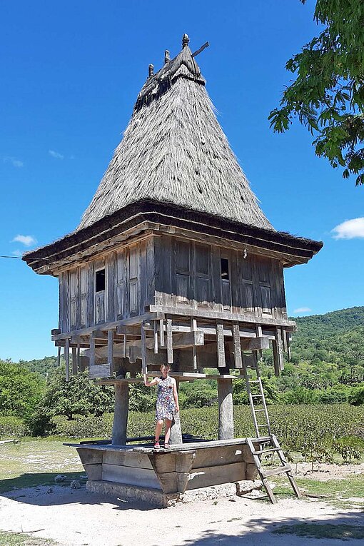 Ein besondere Holzhaus mit Strohdach