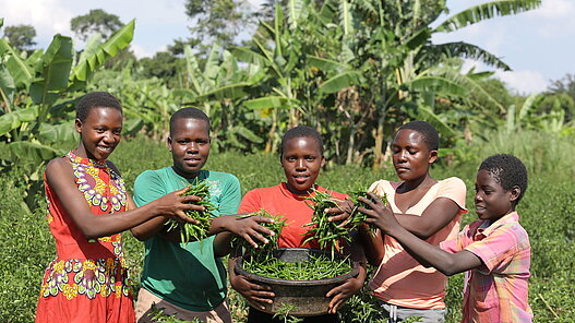 Die Landwirtschaft bietet großes Potential für die berufliche Zukunft junger Menschen in Ruanda. 