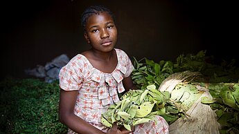 Abbiatou, 14, mit den Blättern, die sie gemeinsam mit ihrer Großmutter sammelt.