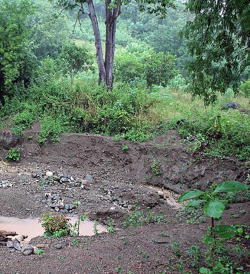 Wasserlauf im indonesischen Unterholz Blick in das Unterholz an einem Bachlauf im Wald