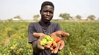 Kwame aus Ghana auf seinem Feld