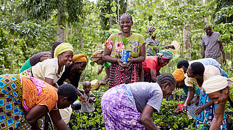 Gruppe Frauen in bunter Kleidung bücken sich zu Setzlingen herunter, eine steht in der Mitte aufrecht und lacht in die Kamera