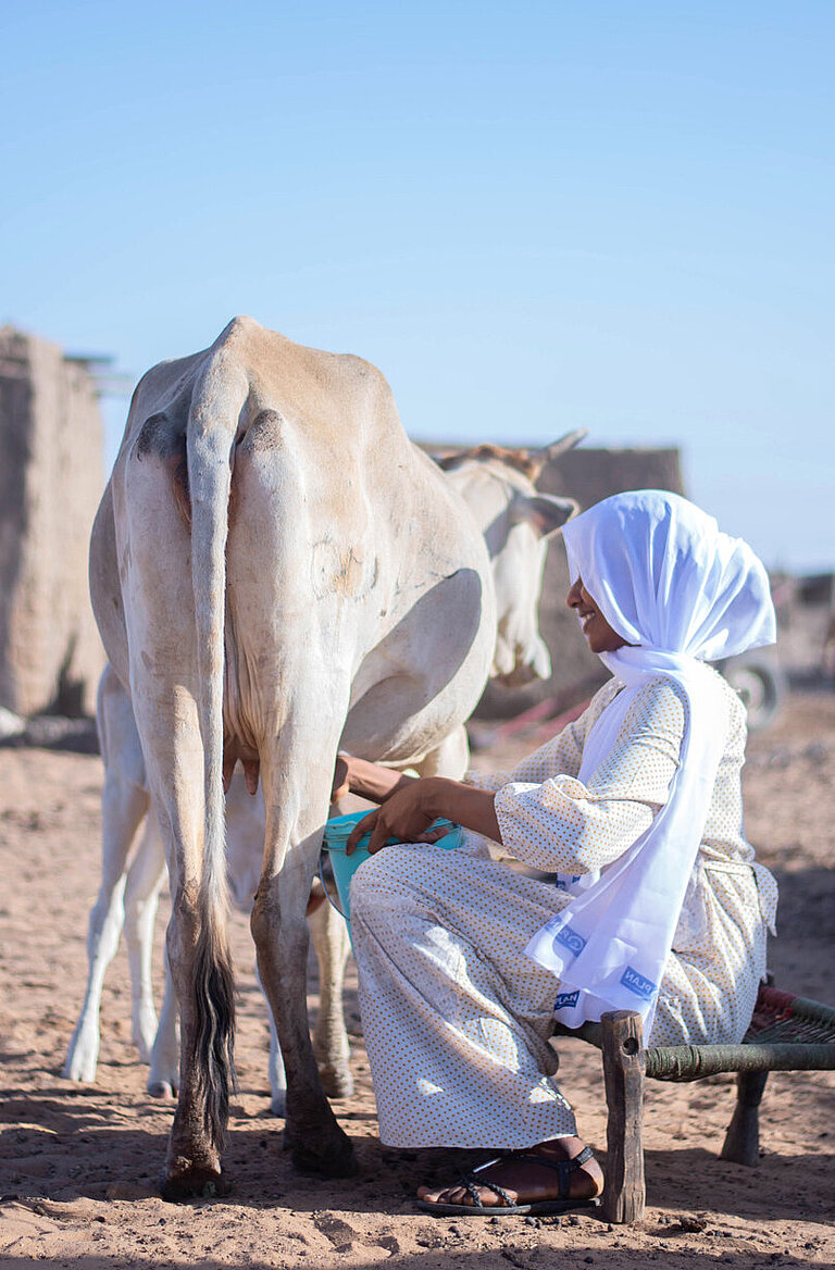 Eine Frau in weißem Gewand und Kopftuch melkt eine Kuh. 