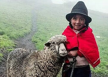 Junge aus Ecuador mit Schaf