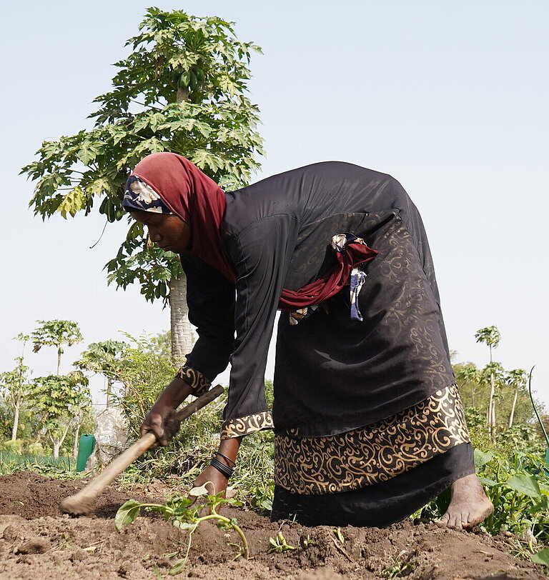 Eine Frau baut auf einem Feld Gemüse an