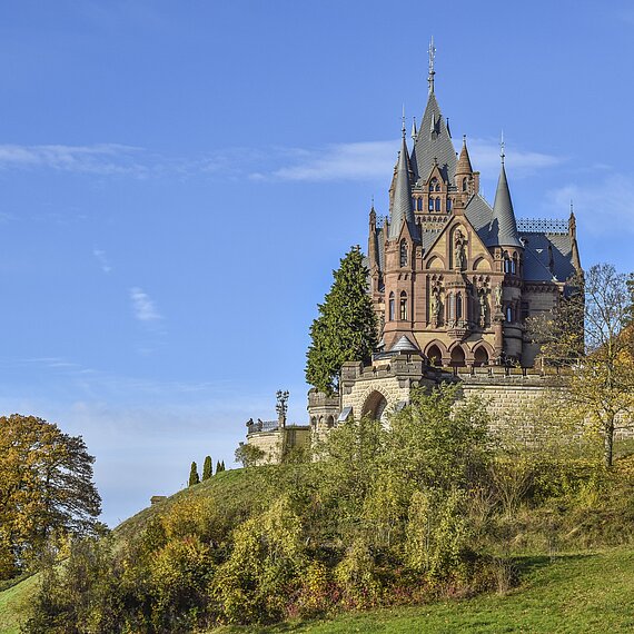 Historisches Schloss auf einem bewaldeten Hügel an einem sonnigen Tag.