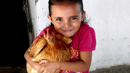 In Ecuador leiden 25 Prozent der Kinder unter chronischer Mangelernährung. Hühner unterstützen die gesunde Ernährung der Kinder. © Plan International/ Bilder stammen aus ähnlichen Plan-Projekten in Lateinamerika.