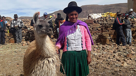 Lamas können die Grundlage für ein gewinnbringendes Unternehmen sein. Denn Wolle, Fleisch und Leder bieten gute Einkommensmöglichkeiten.