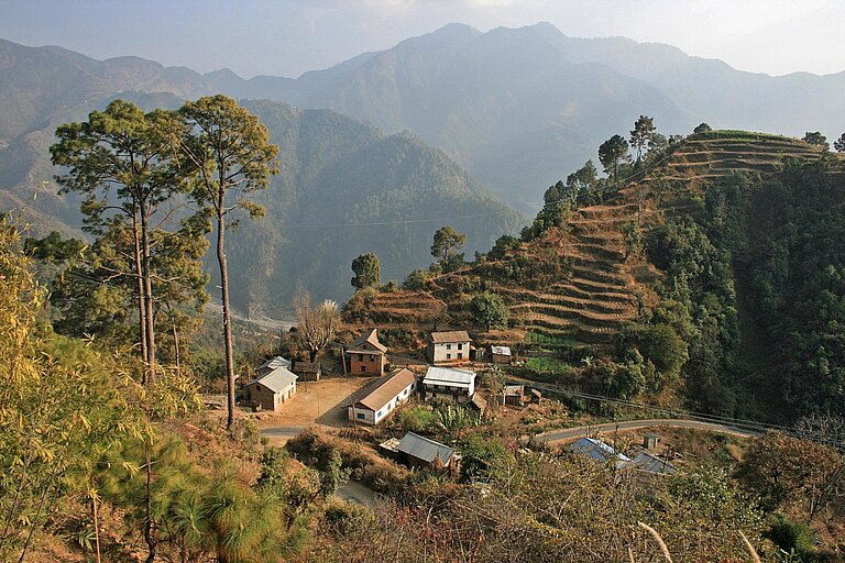 Häuser in einem nepalesischen Bergdorf, umgeben von Bäumen