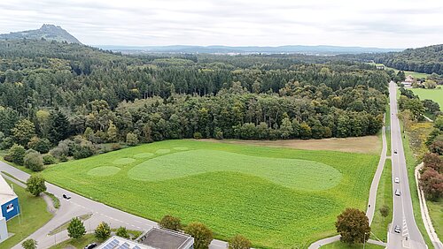 Ein großes Feld neben einer Straße und einem Industriegebiet wird aus der Vogelperspektive gezeigt. Die Sonne scheint auf das grüne Feld, auf dem deutlich ein riesiger Fußabdruck aus ebenfalls grünen Pflanzen gepflanzt wurde.