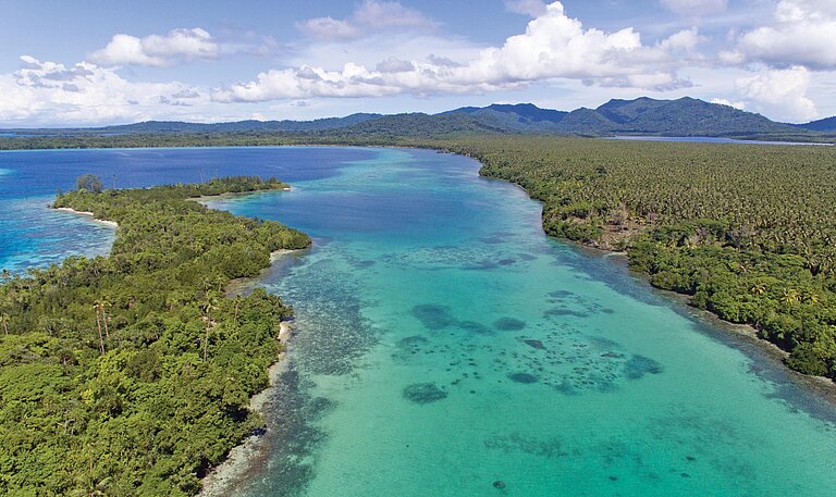 Tropisches Insel-Paradies Salomonen