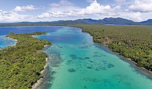 Eine Luftaufnahe von einer tropischen Küste mit Palmen und blauem Wasser in der Südsee
