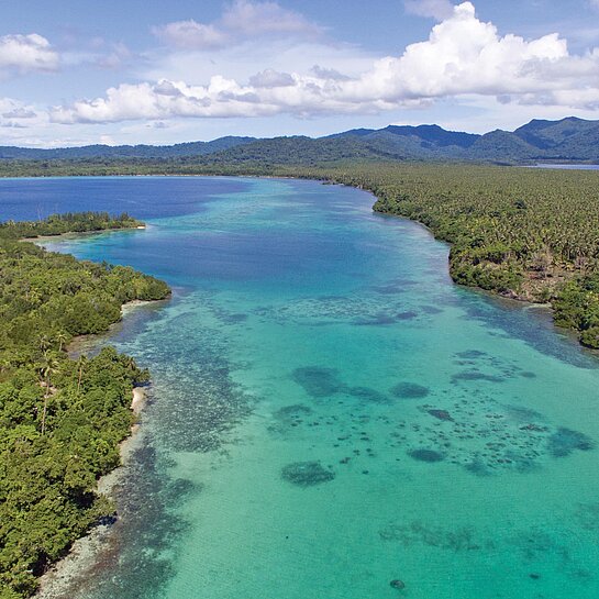 Tropisches Insel-Paradies Salomonen