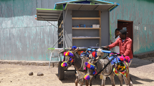 Eselbibliotheken für Äthiopien