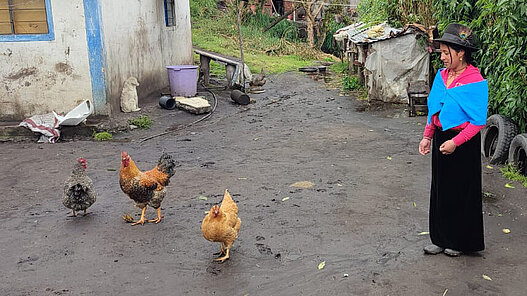 Hühner für Jugendliche in Bolivien