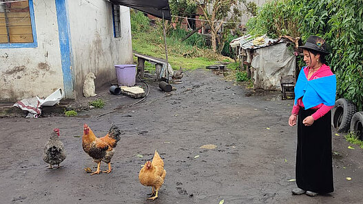 Hühner für Jugendliche in Bolivien