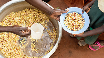 Eine Portion Mais-Bohnen-Brei wird ausgeteilt