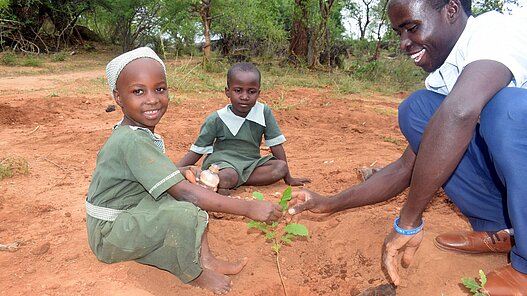 Baumschulen für den Klimaschutz in Sambia