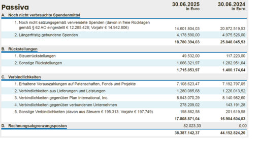 Eine Grafik zeigt die Positionen der Passiva 2025