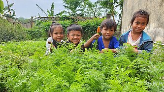 Vier Kinder im Gemüsegarten lächeln und ernten Karotten.