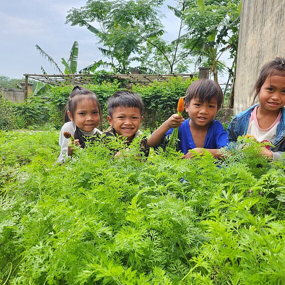 Vier Kinder im Gemüsegarten lächeln und ernten Karotten.