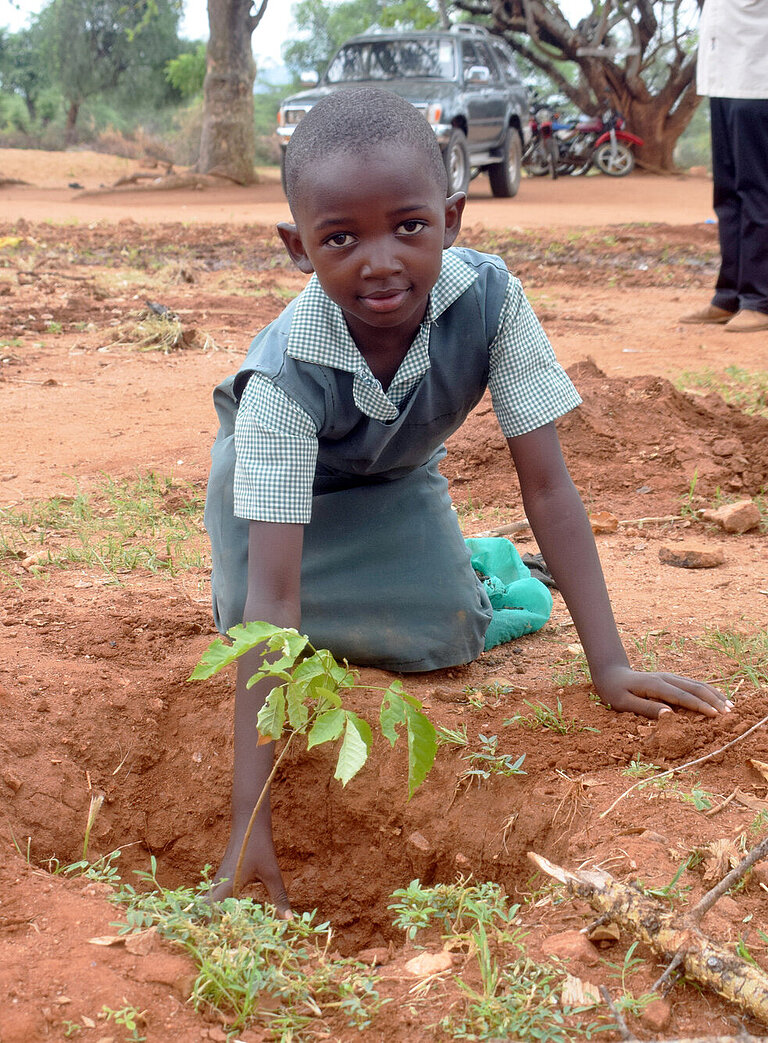 Ein Schulmädchen pflanzt einen Baum in trockene Erde