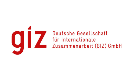 GIZ Logo