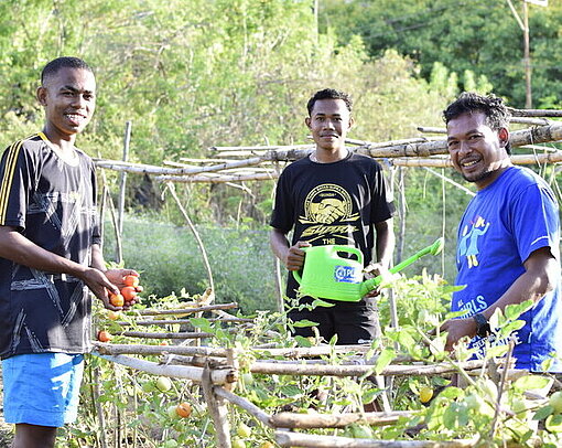 Drei Männer im Gemüsegarten